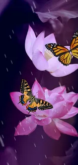 Colorful butterflies on pink lotus against a purple backdrop.