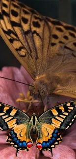 Colorful butterflies resting on a pink flower in a serene setting.