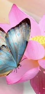 Blue butterflies on a pink lotus flower wallpaper.