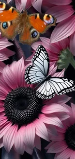 Colorful butterflies on pink flowers