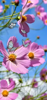 Vibrant wallpaper with butterflies on pink flowers against a blue sky.