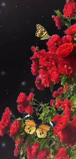 Vivid red roses and butterflies under a starry night sky wallpaper.