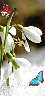 Bright butterflies around snowdrop flowers in a snowy scene.