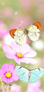 Two butterflies on pink flowers with a glowing background.