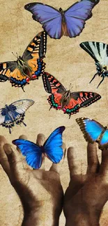 Hands releasing colorful butterflies on a vintage background.