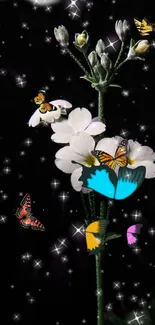 Vibrant butterflies resting on white flowers set in a starry night sky.