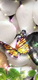 Colorful butterfly on glowing stones with leaves.