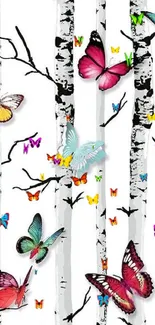 Colorful butterflies on birch trees wallpaper.