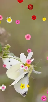 A white butterfly perched on a flower surrounded by colorful blooms.