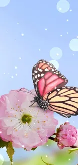 Mobile wallpaper with pink blossoms and butterflies against a blue sky.