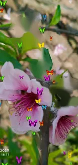 Pink blossoms with colorful butterflies in a vibrant nature scene.