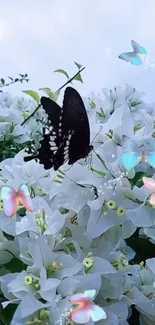 Black butterfly on white flowers with colorful accents.