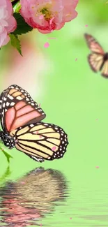 Butterfly and flowers reflecting in water, green background.