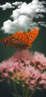 Butterfly resting on pink flowers under fluffy clouds.