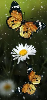 Two butterflies and a daisy on a lush green background.