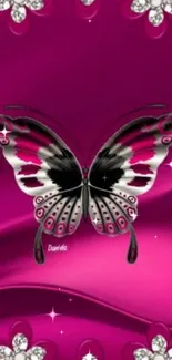 Magenta wallpaper with butterfly and jewel flowers.