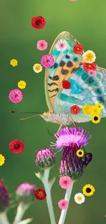 Colorful butterfly resting on a thistle with scattered flowers on a green background.