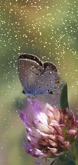 Butterfly resting on a vibrant flower with a soft, green background.