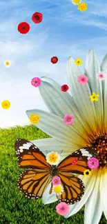 Butterfly on a daisy with colorful flowers and green grass background.