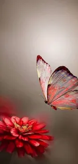 Colorful butterfly on vibrant red flower wallpaper.