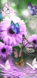 Purple flowers and butterflies with soft green background.