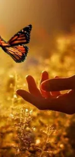 A butterfly gently approaches an outstretched hand against a golden background.