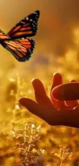 Butterfly flying over a hand in a golden sunset background.