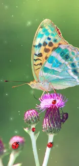 Colorful butterfly and ladybugs on purple flowers in a serene green background.