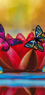 Colorful butterflies on a red lotus in serene mobile wallpaper.