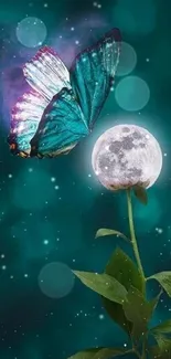 Blue butterfly on moonlit flower with teal background.