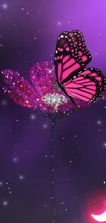 A vivid butterfly on a sparkly flower under a purple moonlit sky.