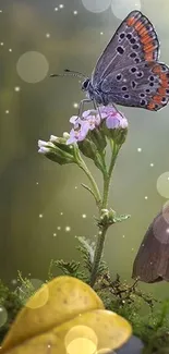 Butterfly resting on flowers among mushrooms and colorful autumn leaves.