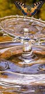 Butterfly hovering above water ripples creating a serene scene.