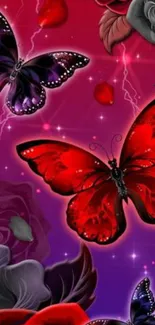 Colorful red butterflies and roses wallpaper with purple hues.