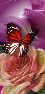 Red butterfly sits on blooming roses with purple petals.