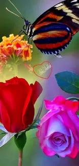 Vibrant butterfly resting on colorful roses.