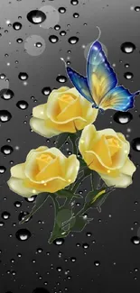 Butterfly on yellow roses with raindrop background.