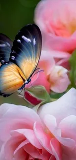 Butterfly resting on pink roses, vibrant mobile wallpaper.