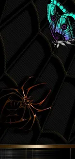 Butterfly and spider on black geometric wallpaper design.