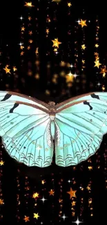 A vibrant butterfly with glowing stars on a dark background.