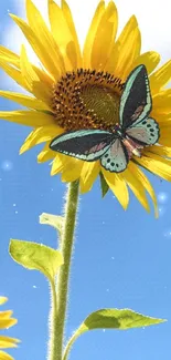 Vibrant butterfly on sunflower against a blue sky.