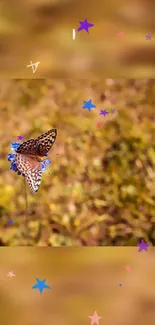 Butterfly with blue flower on brown background, star accents.