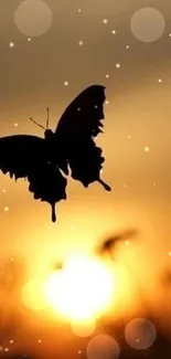 A silhouette of a butterfly against an orange sunset sky in nature.