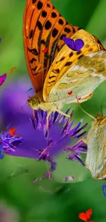 Beautiful butterfly on purple flower with colorful heart accents.