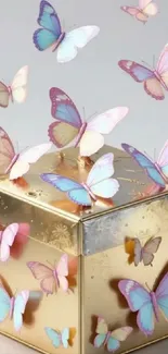 Colorful butterflies on a golden box wallpaper.