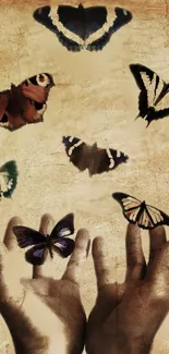 Hands releasing butterflies against a vintage textured background.