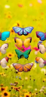 Vibrant mobile wallpaper with colorful butterflies and flowers in a sunny field.