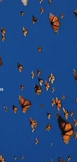 Vibrant butterflies flying in a blue sky.