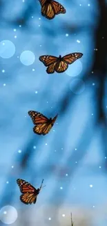 Monarch butterflies flying in clear blue sky.