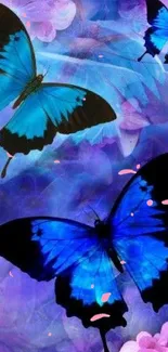 Blue butterflies with purple flowers wallpaper.